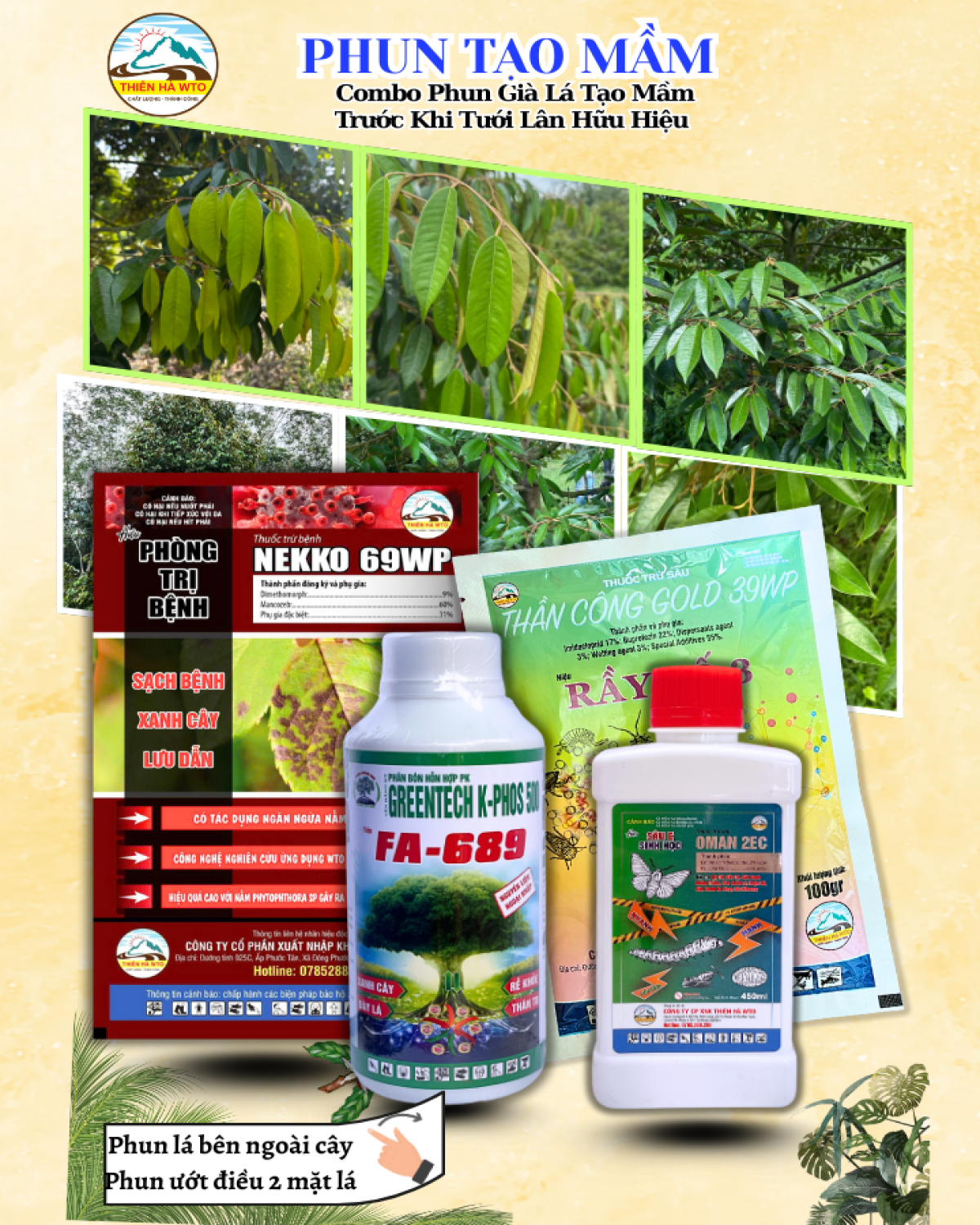 COMBO PHUN GIÀ LÁ TẠO MẦM TRƯỚC KHI TƯỚI LÂN