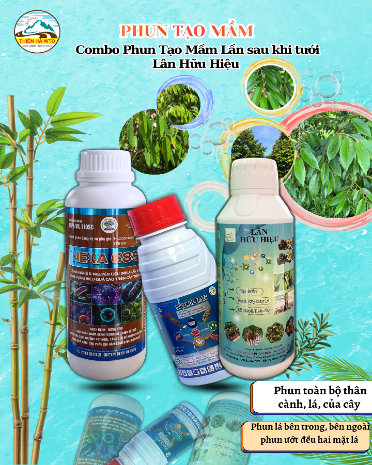 COMBO PHUN GIÀ LÁ TẠO MẦM SAU KHI TƯỚI LÂN