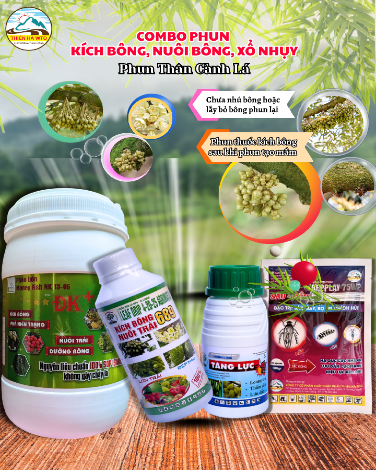 COMBO PHUN KÍCH BÔNG, NUÔI BÔNG, XỔ NHUỴ