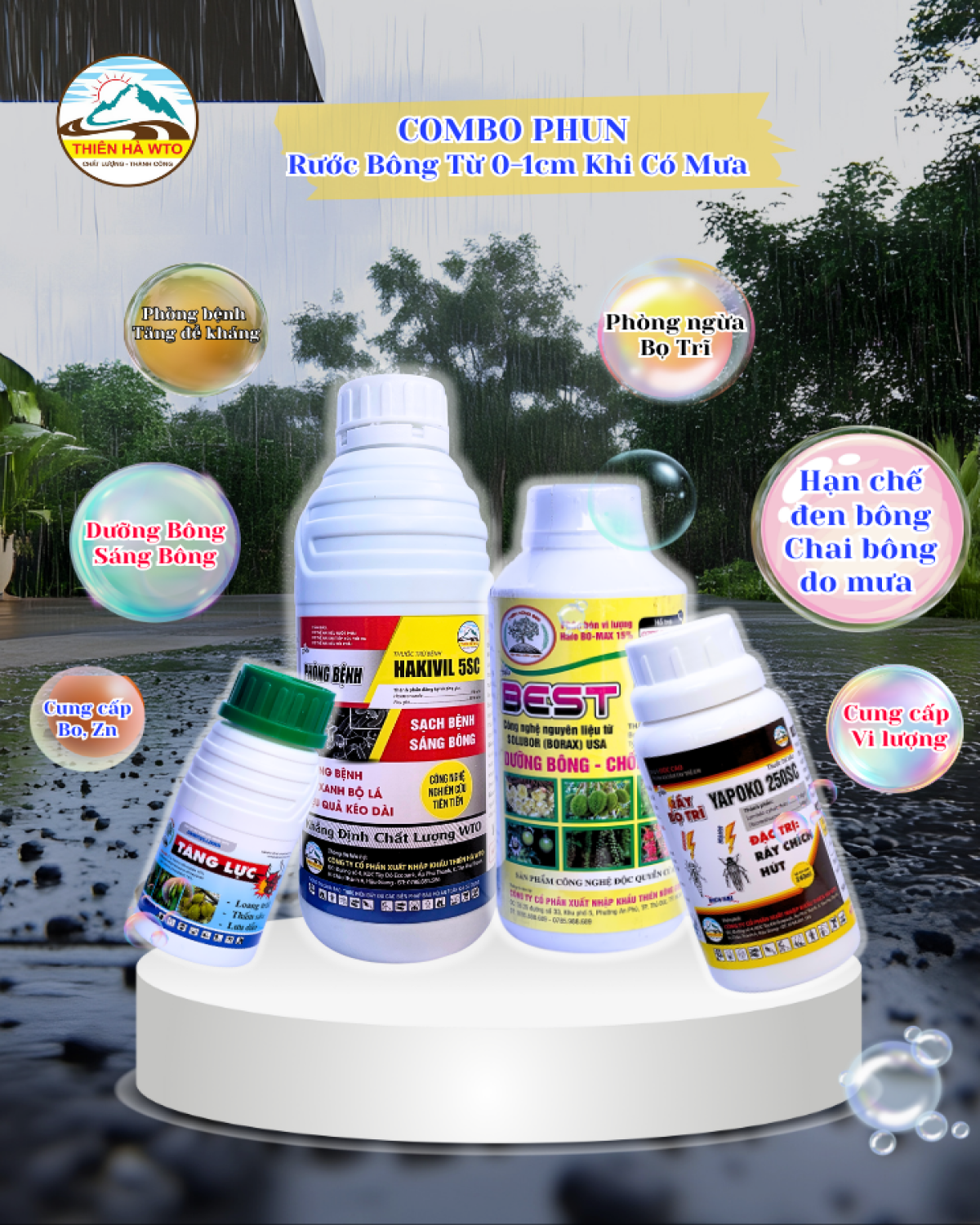 COMBO PHUN RƯỚC BÔNG TỪ 0-1CM KHI CÓ MƯA