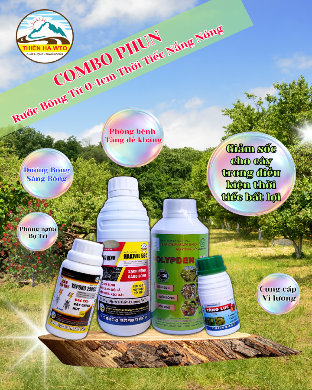 COMBO PHUN RƯỚC BÔNG TỪ 0-1CM THỜI TIẾT NẮNG NÓNG