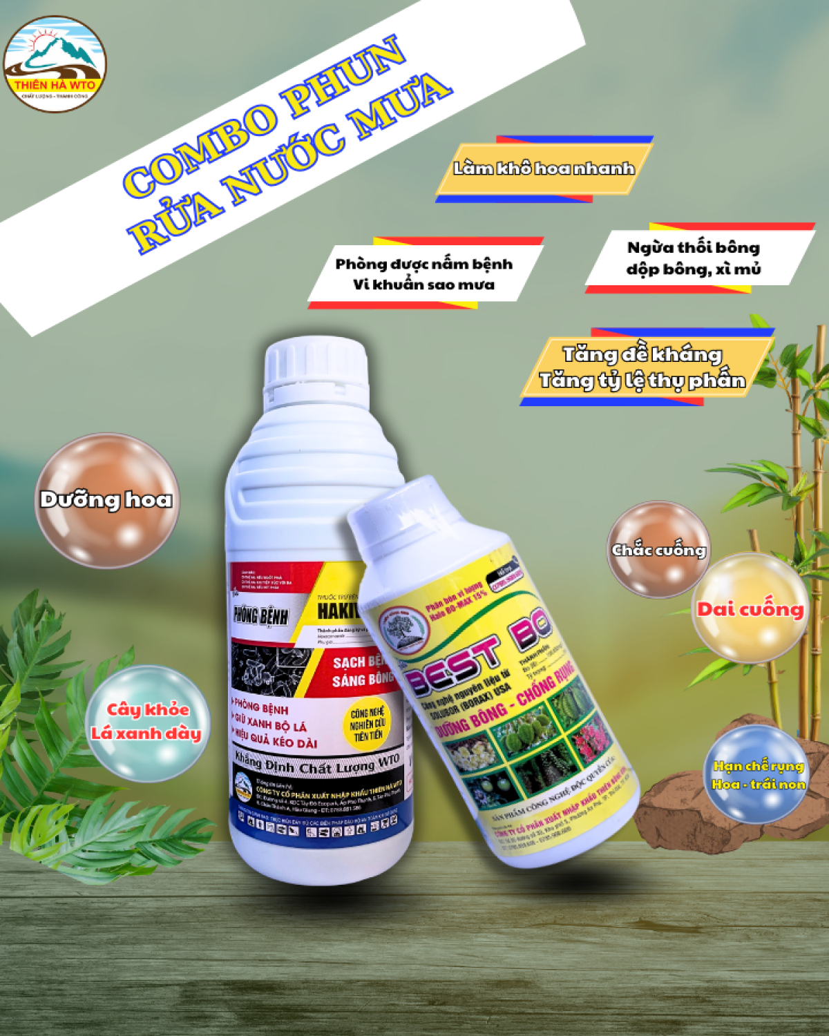 COMBO RỬA NƯỚC MƯA DAI BÔNG, CHẮC CUỐNG.